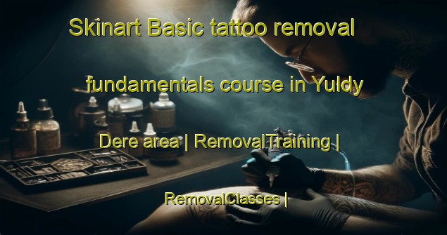 Skinart Basic tattoo removal fundamentals course in Yuldy Dere area | RemovalTraining | RemovalClasses | SkinartTraining-Turkmenistan